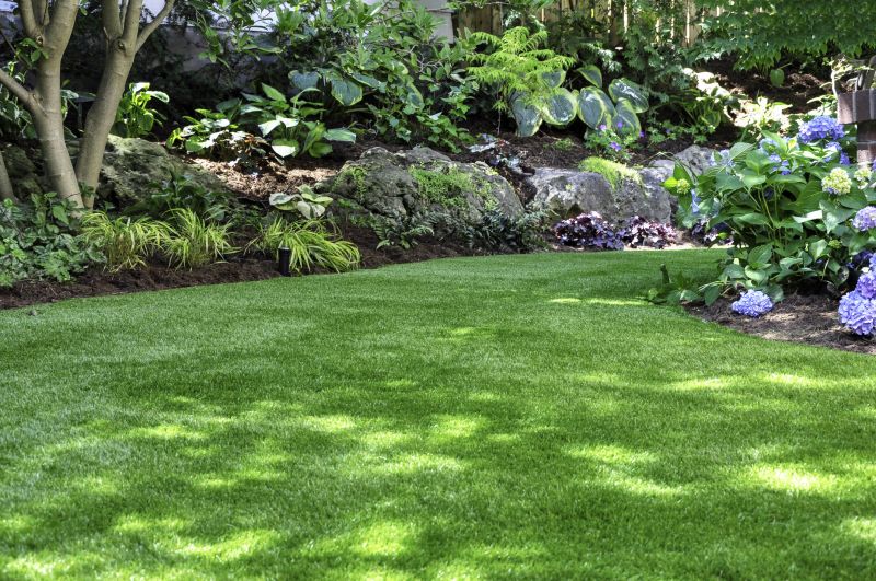 Lawn and Plantings