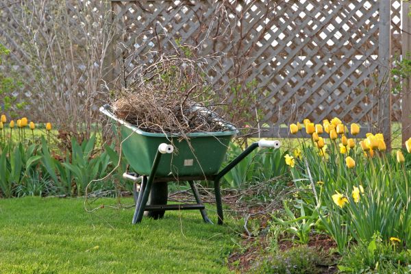 Flower Bed Cleanup Service in Bloomington