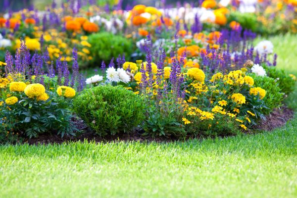 Flower Bed Maintenance in Bloomington