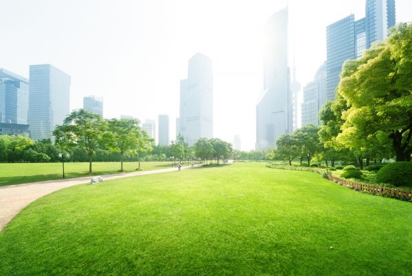 Commercial Landscape Maintenance in Bloomington