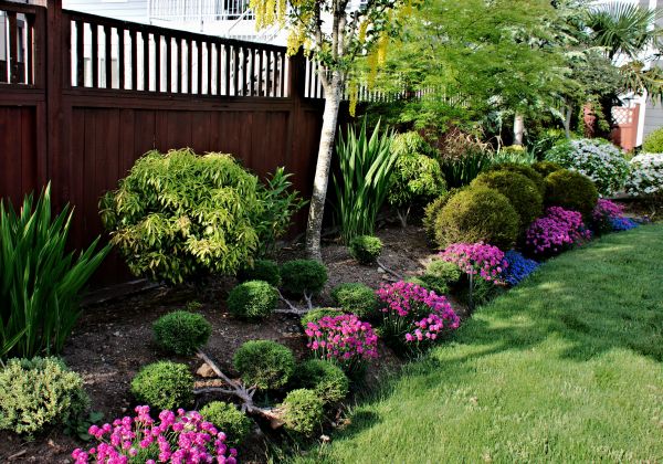 Garden Care Service in Bloomington