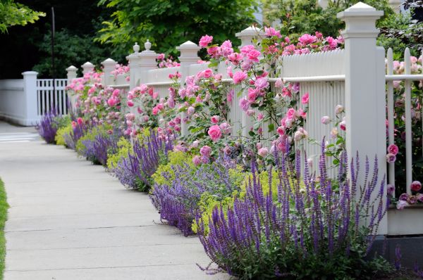 Garden Handyman Service in Bloomington