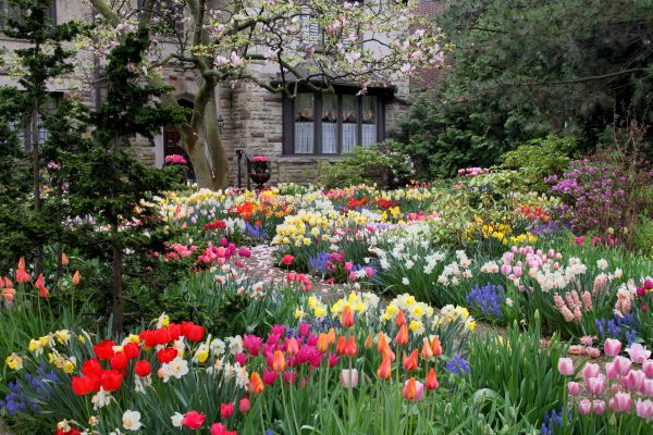 Garden Maintenance Service in Bloomington