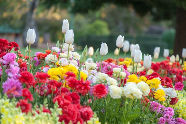 Gardening Service in Bloomington