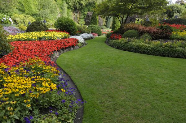 Landscaping Maintenance in Bloomington