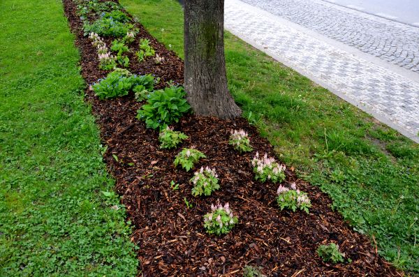 Mulch Replacement Service in Bloomington