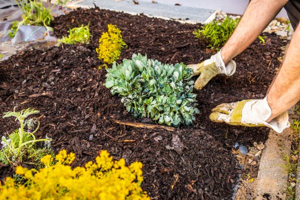 Weeding And Mulching in Bloomington