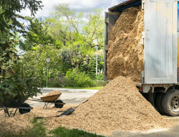 Wood Chips Delivery in Bloomington