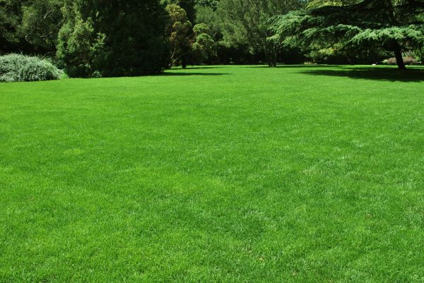 Lawn Landscaping in Bloomington