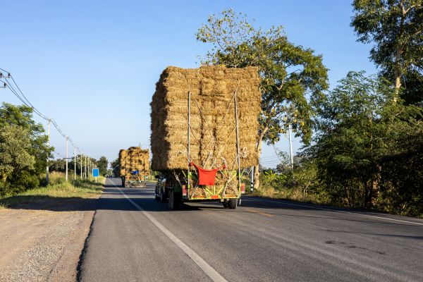 Pine Straw Delivery in Bloomington