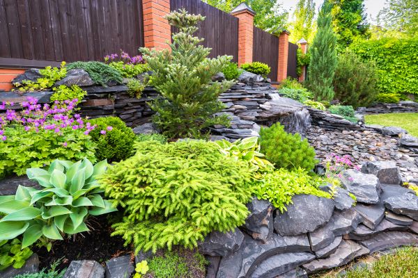 Landscape Remodeling in Bloomington