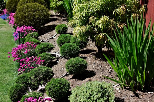 Residential Gardening in Bloomington