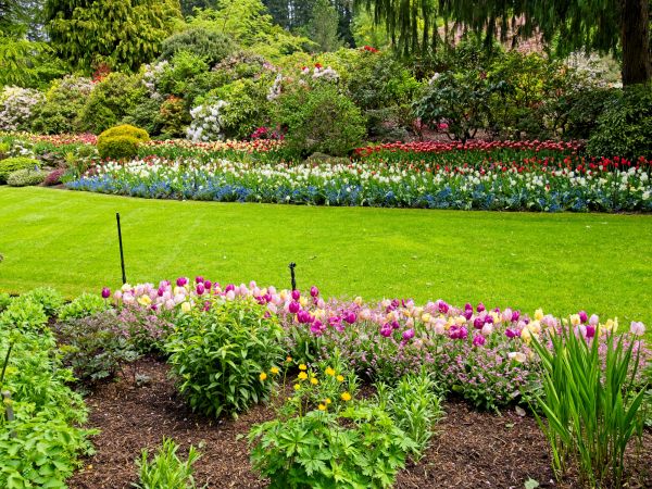 Residential Landscape Design in Bloomington