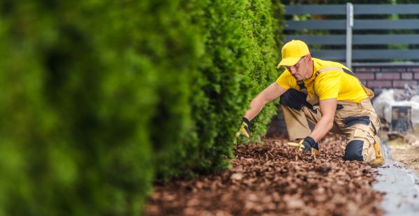 Cypress Mulch Installation in Bloomington