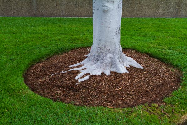 Brown Mulch Installation in Bloomington