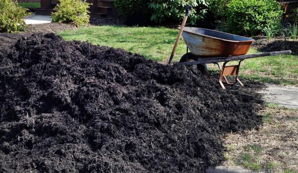 Black Mulch Installation in Bloomington
