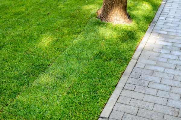 Border Stone Installation in Bloomington