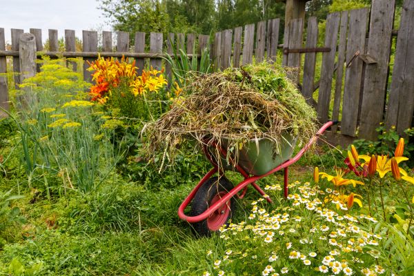 Garden Cleanup Service in Bloomington