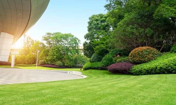 Business Landscape Design in Bloomington