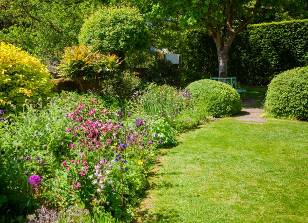 Yard Landscaping Service in Bloomington