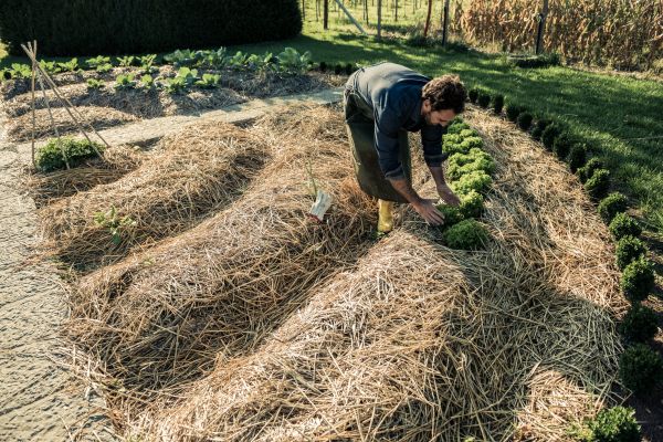 Straw Mulching Service in Bloomington