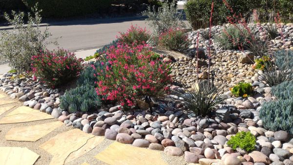 Xeriscape Landscaping in Bloomington