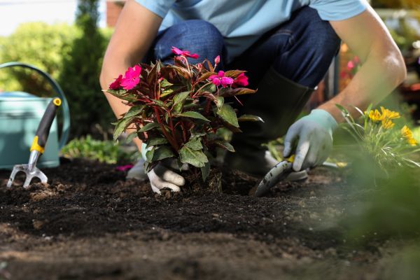 Plant Installation in Bloomington