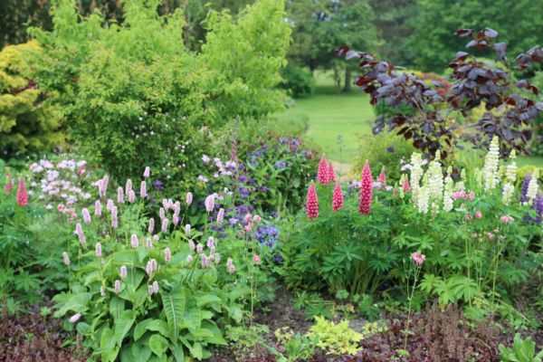 Flower Bed Planting in Bloomington