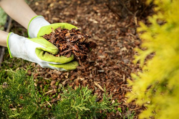 Garden Mulch Delivery in Bloomington