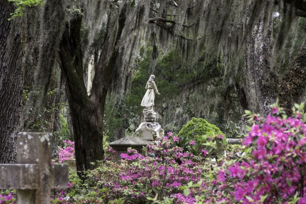 Cemetery Landscaping in Bloomington