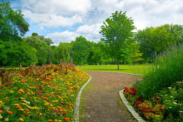 Park Landscaping in Bloomington