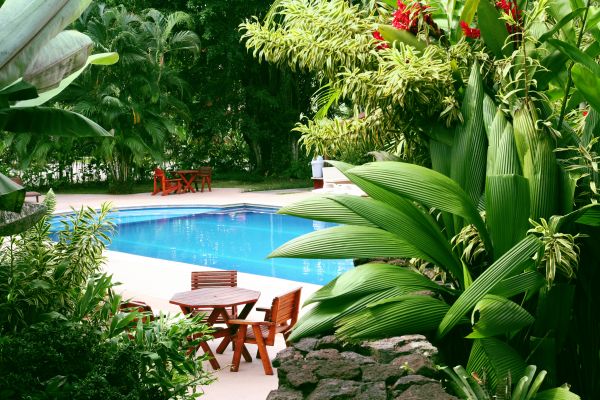 Tropical Garden Landscaping in Bloomington