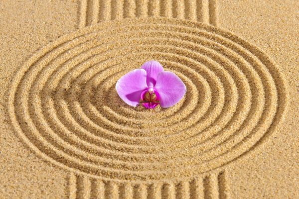 Sand Garden Landscaping in Bloomington