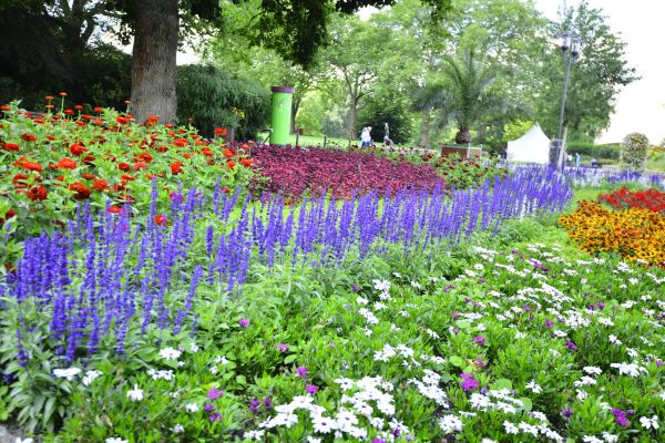 Perennials Planting in Bloomington
