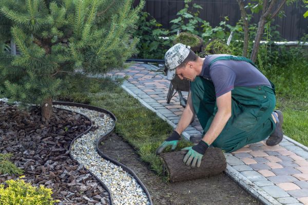 Landscaping Modification in Bloomington