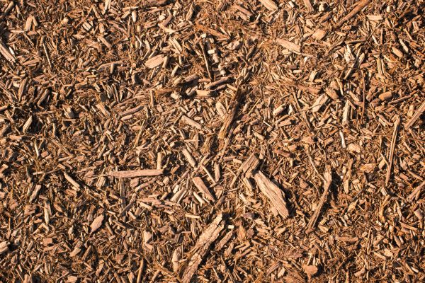 Wood Chips Removal in Bloomington
