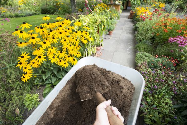 Topsoil Replacement in Bloomington