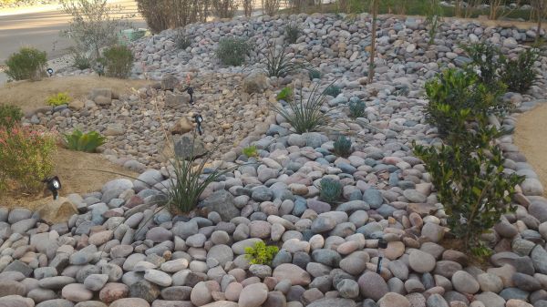 Yard Xeriscaping in Bloomington