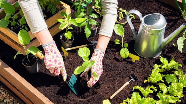 Garden Bed Installation in Bloomington