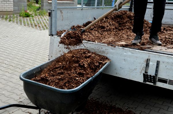 Playground Mulch Delivery in Bloomington