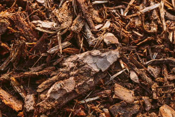 Bark Mulch Delivery in Bloomington