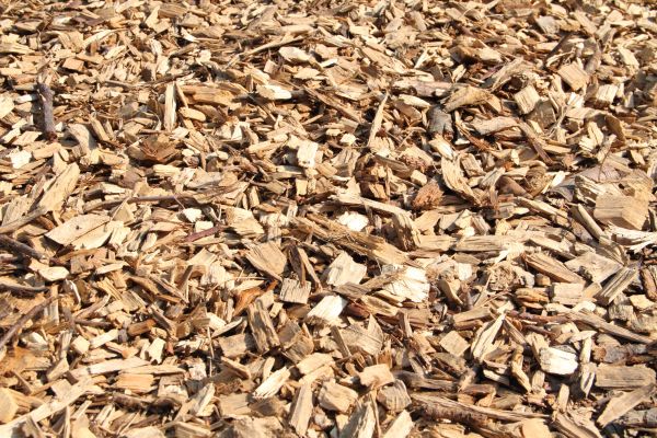 Wood Mulch Delivery in Bloomington