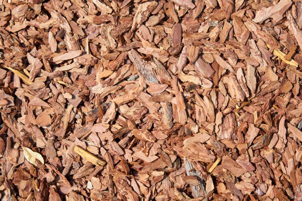 Pine Mulch Delivery in Bloomington