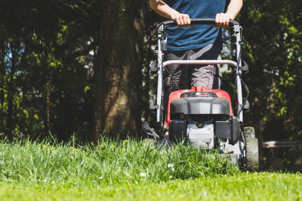 Garden Trimming Service in Bloomington