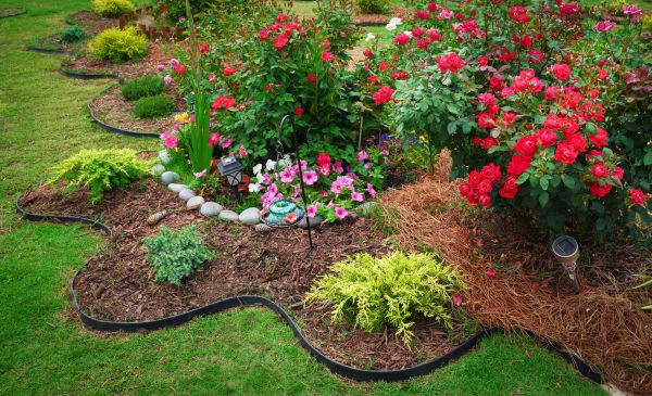 Floral Landscaping in Bloomington