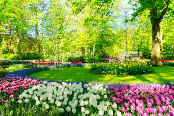 Flower Landscaping in Bloomington