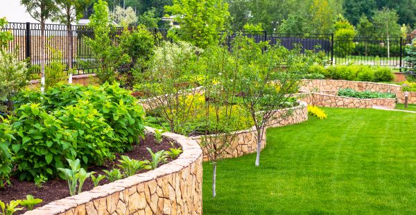 Yard Makeover Service in Bloomington