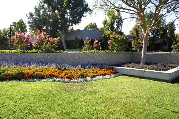 Commercial Landscape Service in Bloomington