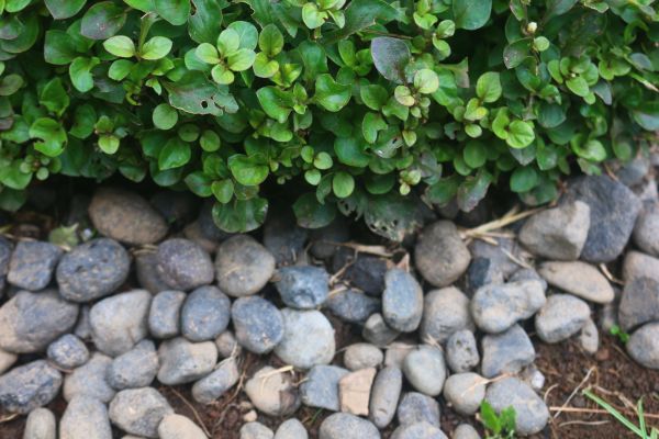 River Stone Installation in Bloomington