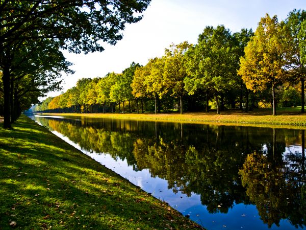 Bank Landscaping in Bloomington